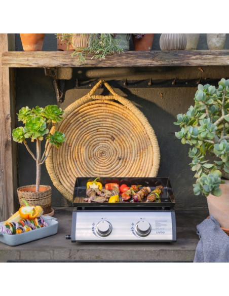 Plancha Gaz 2 brûleurs