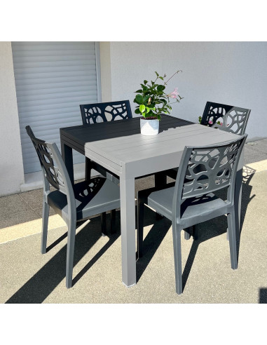 Table CAP FERRET alu extensible...