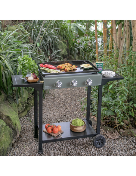 Plancha Gaz 3 brûleurs sur chariot