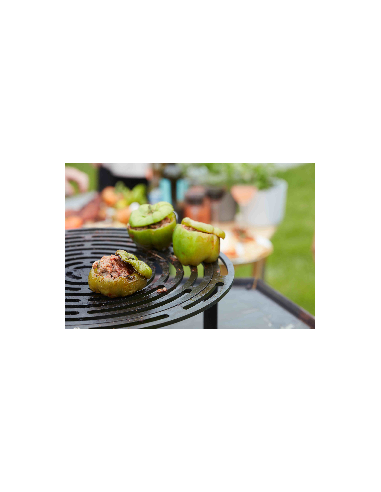 Support central, grille surélevée... Support central, grille surélevée...