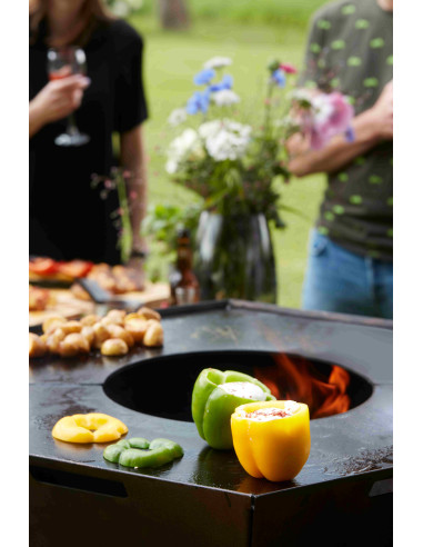 Brasero convivial NESTOR ORIGINAL en... Brasero convivial NESTOR ORIGINAL en...