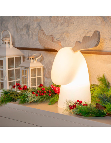Cerf décoratif lumineux