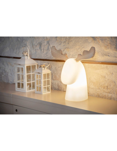 Cerf décoratif lumineux