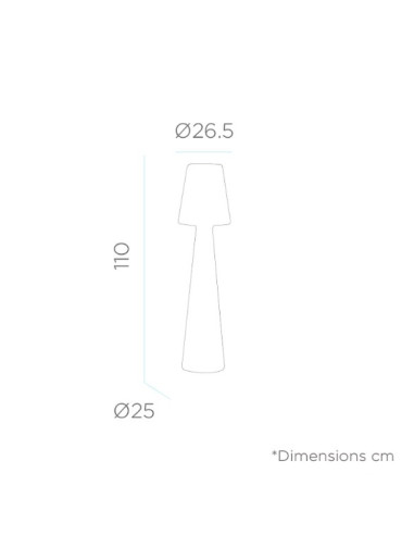 Lampadaire 110 cable électrique