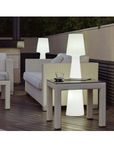 Lampadaire 110 cable...