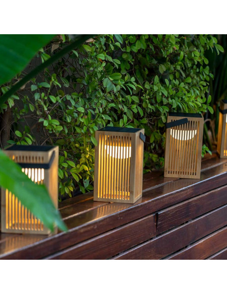Lanterne Paradise solaire+batterie rechargeable