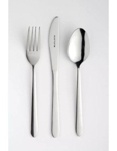 Couteau de table monobloc Modena inox