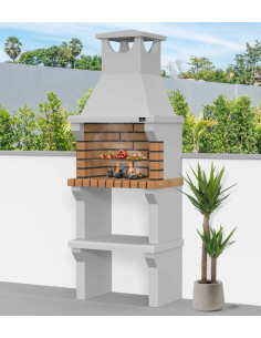 Barbecue charbon de bois...