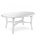 Table Danubio Blanche ovale 165x110cm résine de synthèse