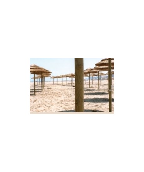 Poteau Ø8cm de 3M long traité autoclave