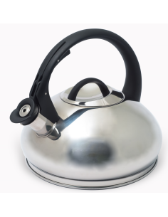 Bouilloire à sifflet 3L