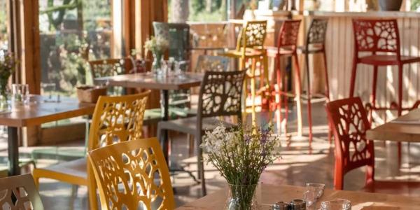 Chaises et tabourets Maori : l’élégance naturelle pour vos espaces de vie